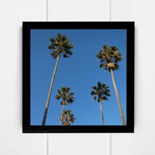 Charger l&#39;image dans la galerie, Portugal  photo  palmiers  Lisbonne  ciel bleu  carré
